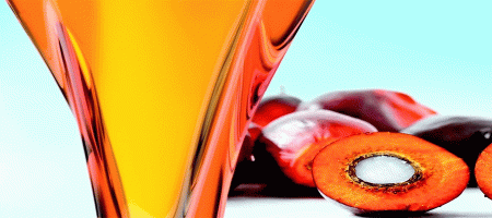 Crude palm oil's discount to soybean likely until 3Q, may spur Indian demand